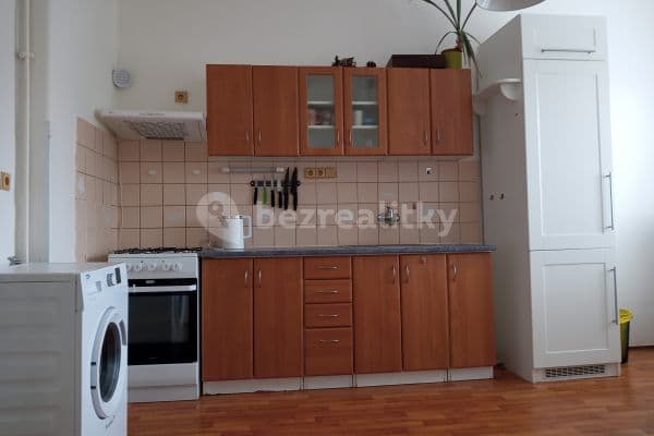 1 bedroom with open-plan kitchen flat to rent, 42 m², Wolkerova, 