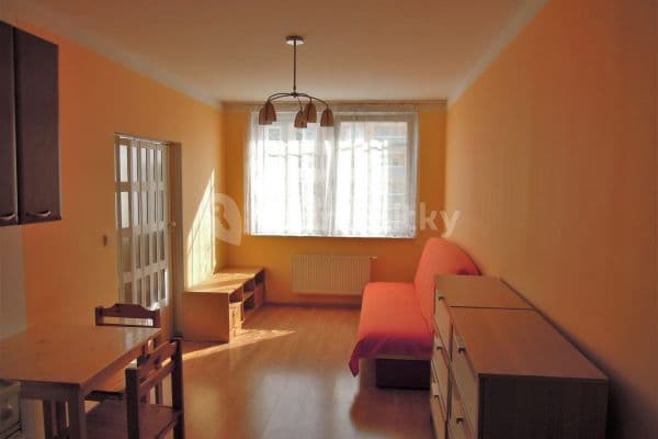 1 bedroom with open-plan kitchen flat to rent, 38 m², Hnězdenská, 