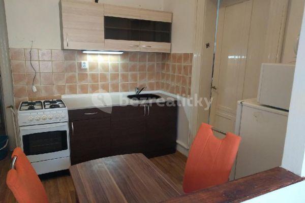 1 bedroom with open-plan kitchen flat to rent, 45 m², Vlastislavova, Prague, Prague