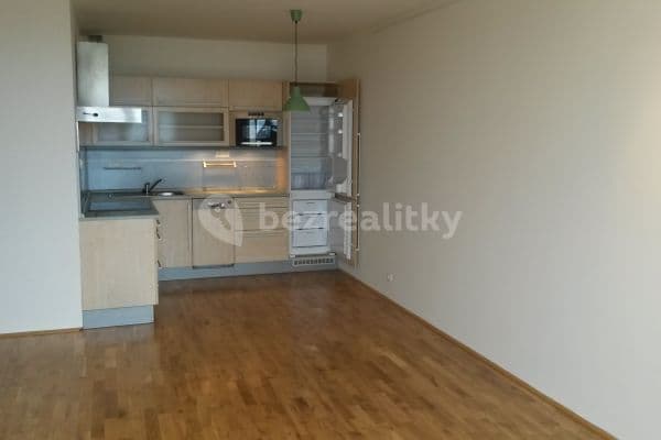 1 bedroom with open-plan kitchen flat to rent, 48 m², Hnězdenská, Prague, Prague