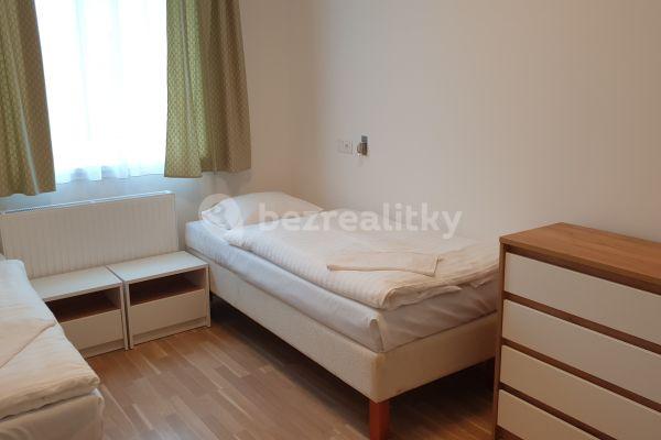 Small studio flat to rent, 30 m², Kotlaska, Prague, Prague