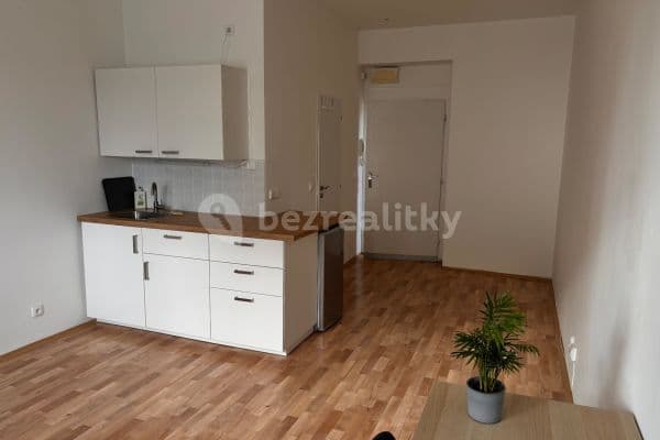 Small studio flat to rent, 23 m², V Nových Vokovicích, 