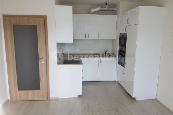 1 bedroom with open-plan kitchen flat to rent, 49 m², Soukalova, Prague, Prague