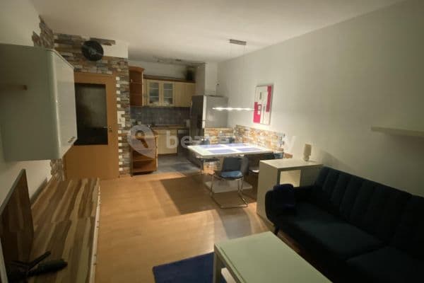 1 bedroom with open-plan kitchen flat to rent, 50 m², Mariánská, Praha