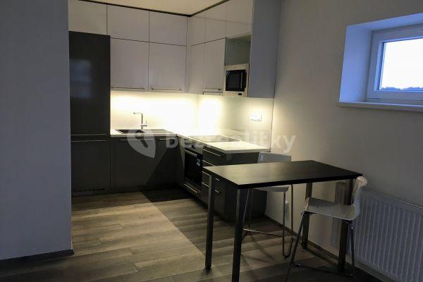 1 bedroom with open-plan kitchen flat to rent, 48 m², Listnatá, Brno, Jihomoravský Region