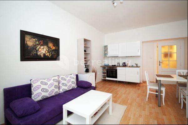 1 bedroom with open-plan kitchen flat to rent, 51 m², Petra Slezáka, Prague, Prague
