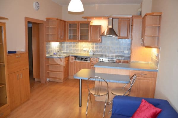 1 bedroom with open-plan kitchen flat to rent, 53 m², Sluneční, Jesenice