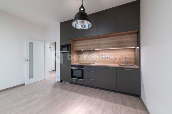 1 bedroom with open-plan kitchen flat to rent, 52 m², Lindleyova, Praha