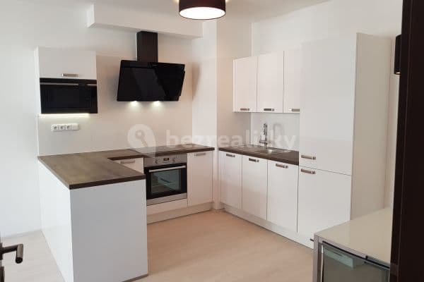 1 bedroom with open-plan kitchen flat to rent, 51 m², Medunova, 