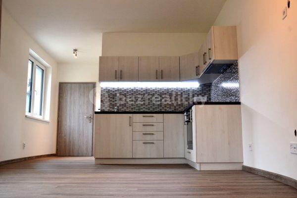 1 bedroom with open-plan kitchen flat to rent, 40 m², Psáry