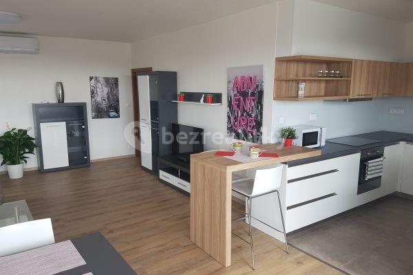 1 bedroom with open-plan kitchen flat to rent, 68 m², Brno, Jihomoravský Region