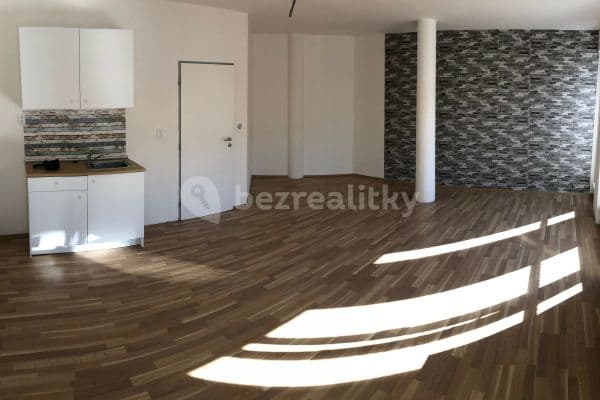 Studio flat to rent, 41 m², U Pekařky, Prague, Prague