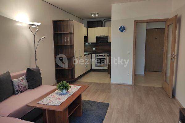 1 bedroom with open-plan kitchen flat to rent, 51 m², Chudenická, Praha