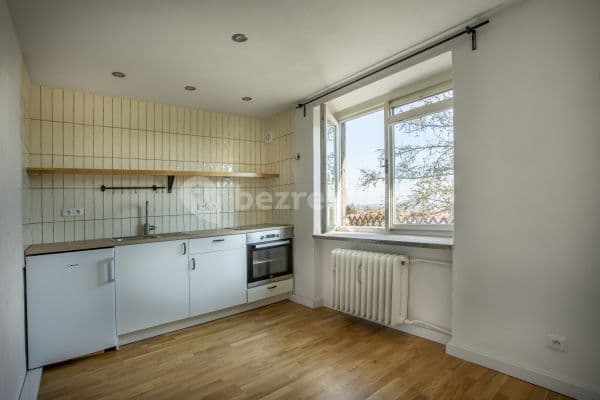 1 bedroom with open-plan kitchen flat to rent, 32 m², Sevastopolská, 