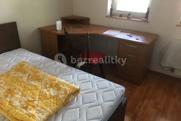 1 bedroom with open-plan kitchen flat to rent, 16 m², Prague, Prague