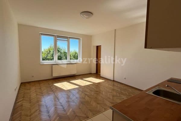 1 bedroom with open-plan kitchen flat to rent, 54 m², Nad Krocínkou, 
