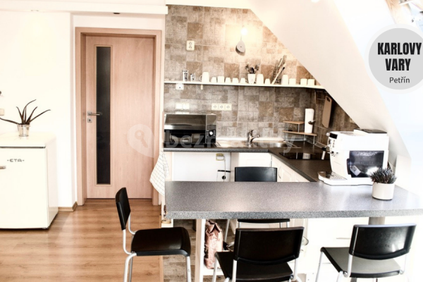 1 bedroom with open-plan kitchen flat to rent, 42 m², Karlovy Vary, Karlovarský Region
