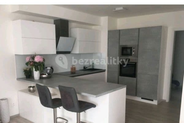 2 bedroom with open-plan kitchen flat to rent, 87 m², Strnadových, 