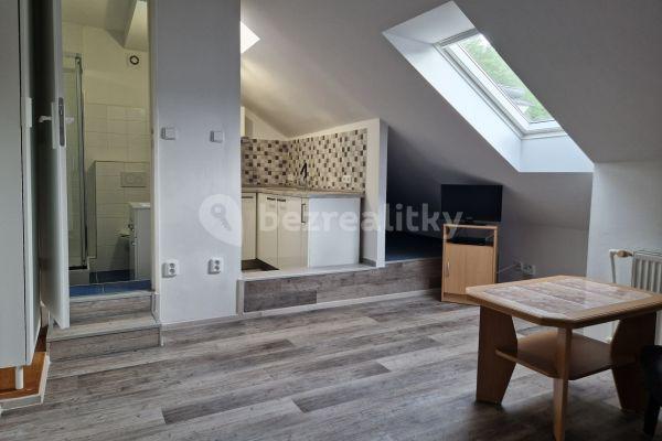 1 bedroom with open-plan kitchen flat to rent, 58 m², Vratislavova, Praha