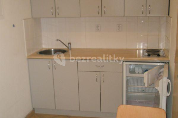 1 bedroom with open-plan kitchen flat to rent, 30 m², Havlíčkova, Jihlava, Vysočina Region