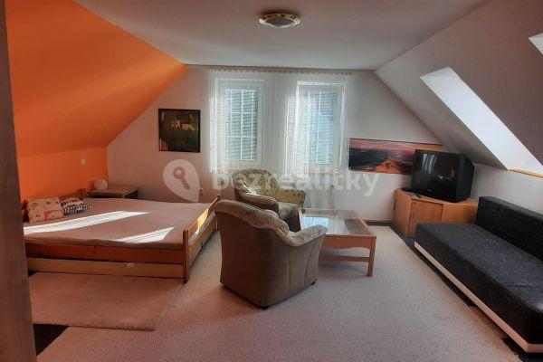3 bedroom with open-plan kitchen flat to rent, 34 m², Brno, Jihomoravský Region