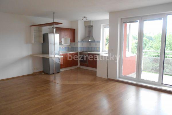 1 bedroom with open-plan kitchen flat to rent, 68 m², Mattioliho, Prague, Prague