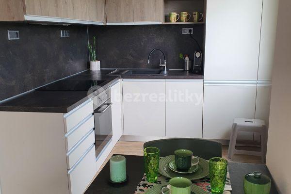 1 bedroom with open-plan kitchen flat to rent, 53 m², Bratislavská, Prague, Prague