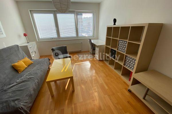 Small studio flat to rent, 35 m², Jemnická, Praha