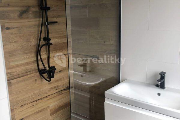 2 bedroom with open-plan kitchen flat to rent, 74 m², Prague, Prague