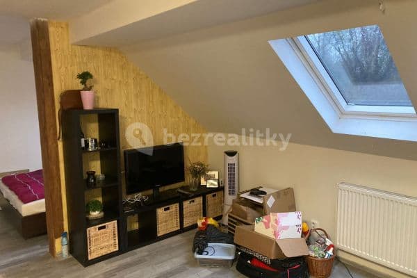 Small studio flat to rent, 34 m², Měšice