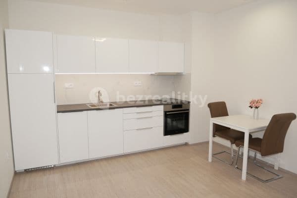1 bedroom with open-plan kitchen flat to rent, 49 m², Chvalovka, Brno, Jihomoravský Region