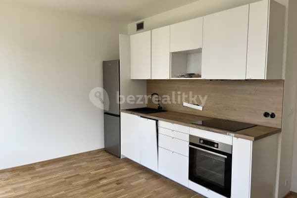 1 bedroom with open-plan kitchen flat to rent, 52 m², Svatošových, Prague, Prague