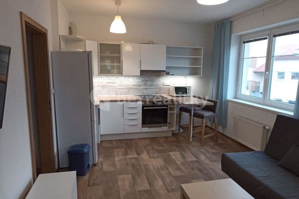 1 bedroom with open-plan kitchen flat to rent, 41 m², Pod Zahrady, Přezletice