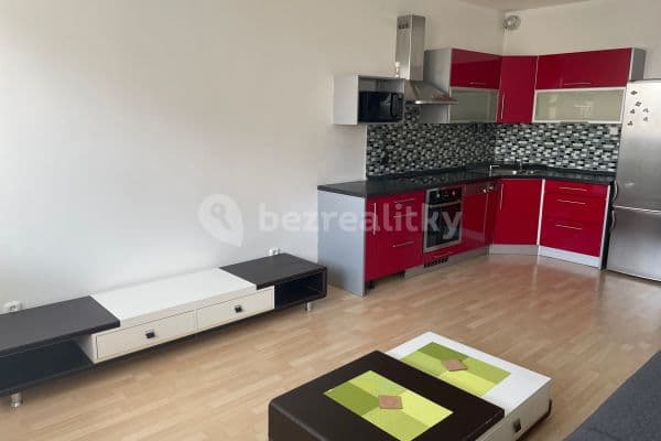 1 bedroom with open-plan kitchen flat to rent, 61 m², Herlíkovická, Praha