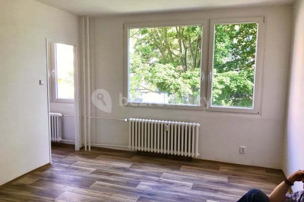 Studio flat to rent, 30 m², Teplice