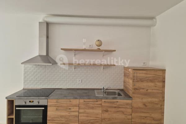 1 bedroom with open-plan kitchen flat to rent, 60 m², Pod Kavalírkou, Praha