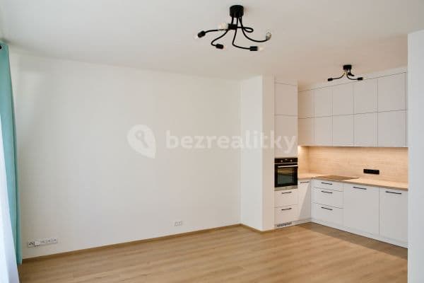 1 bedroom with open-plan kitchen flat to rent, 63 m², Třebohostická, Hlavní město Praha