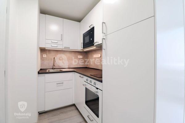 1 bedroom with open-plan kitchen flat to rent, 29 m², Šestajovická, 