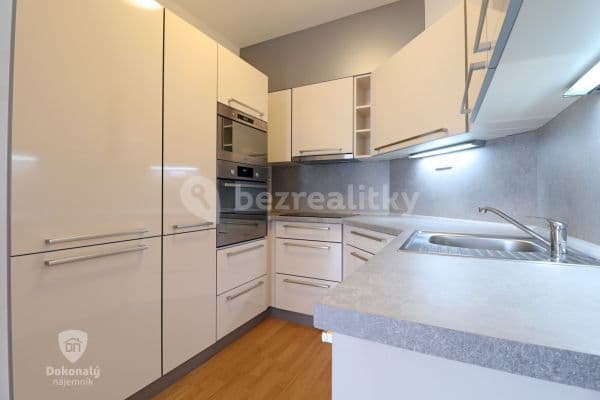 1 bedroom with open-plan kitchen flat to rent, 63 m², Hanusova, 