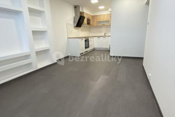 1 bedroom with open-plan kitchen flat to rent, 48 m², Jablonecká, Praha