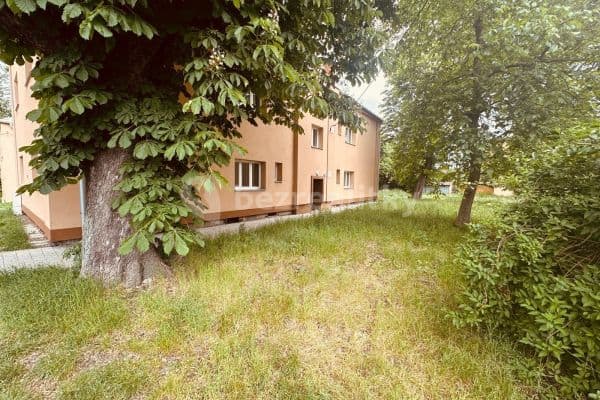 1 bedroom with open-plan kitchen flat to rent, 40 m², Pavelská, 