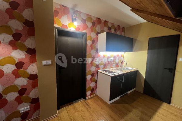 Small studio flat to rent, 19 m², Pod Kotlářkou, Hlavní město Praha