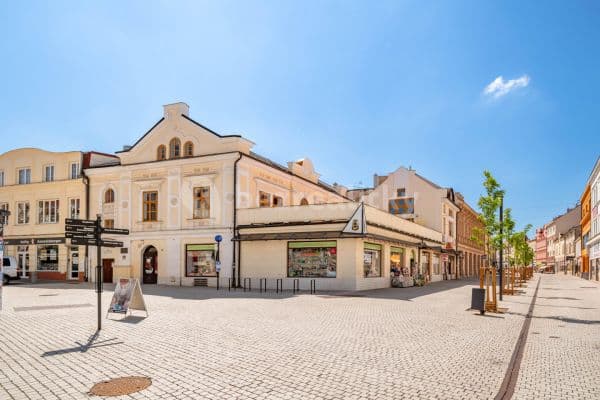 house for sale, 1,143 m², Poděbradova, Kladno, Středočeský Region