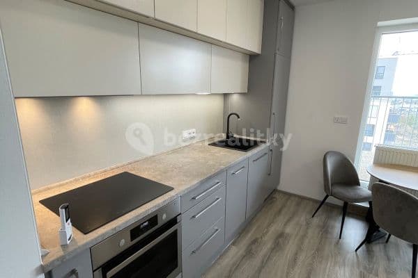1 bedroom with open-plan kitchen flat for sale, 61 m², Za černým mostem, Praha