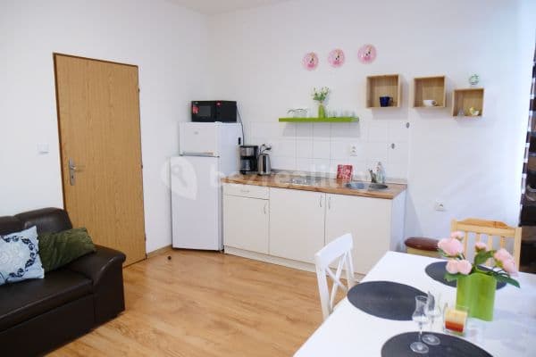 flat to rent, 47 m², Ruská, Teplice, Ústecký Region
