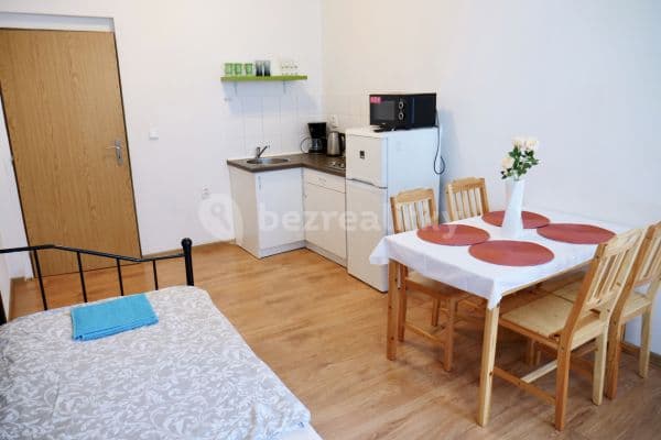 Studio flat to rent, 55 m², Ruská, Teplice