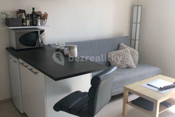 1 bedroom with open-plan kitchen flat to rent, 44 m², Bzenecká, Brno