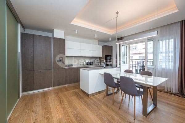 1 bedroom with open-plan kitchen flat to rent, 89 m², Dlouhá, Praha