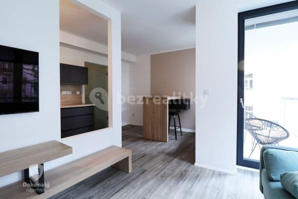 1 bedroom with open-plan kitchen flat to rent, 50 m², Pod Barvířkou, 