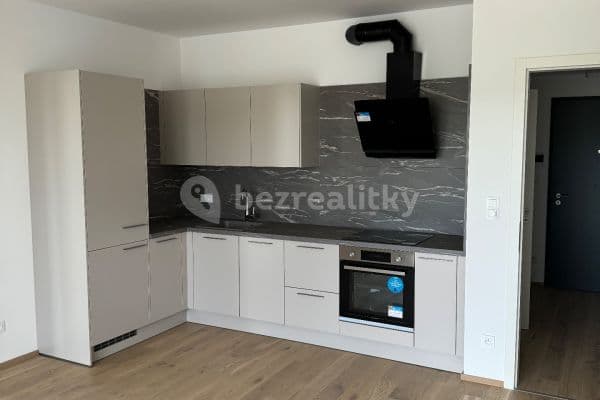 1 bedroom with open-plan kitchen flat to rent, 56 m², Za Karlínským přístavem, Praha